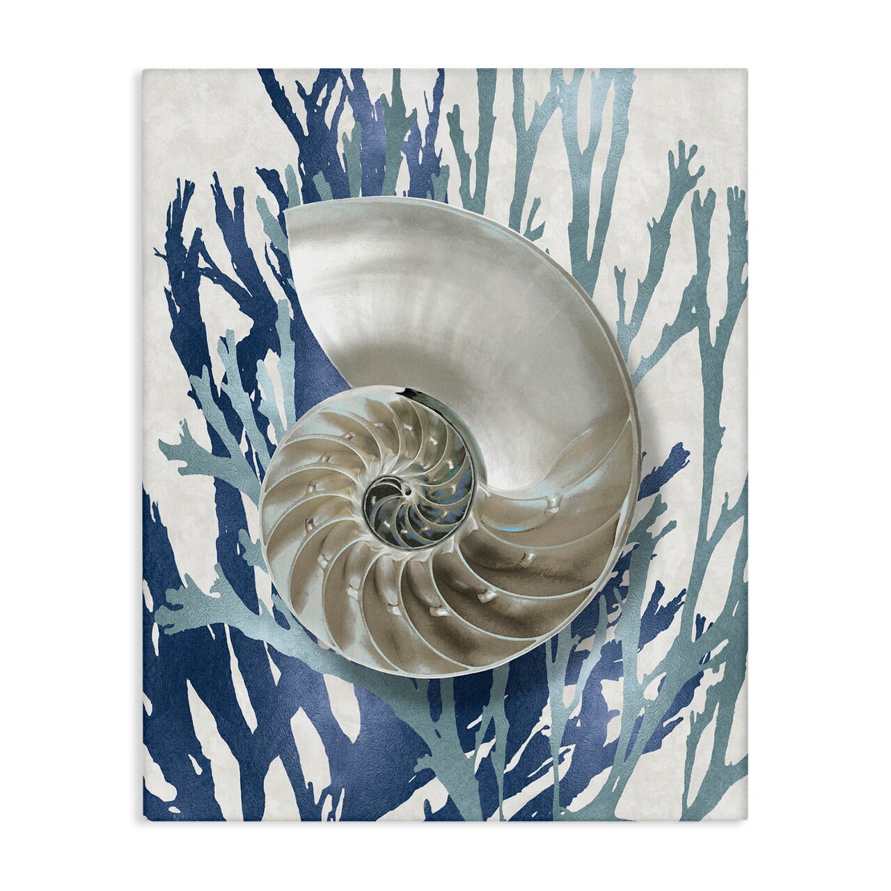 Stupell Industries Shell Coral Beach Blue Design Canvas Wall Art